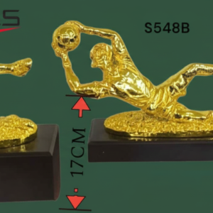 جوائز فرديه